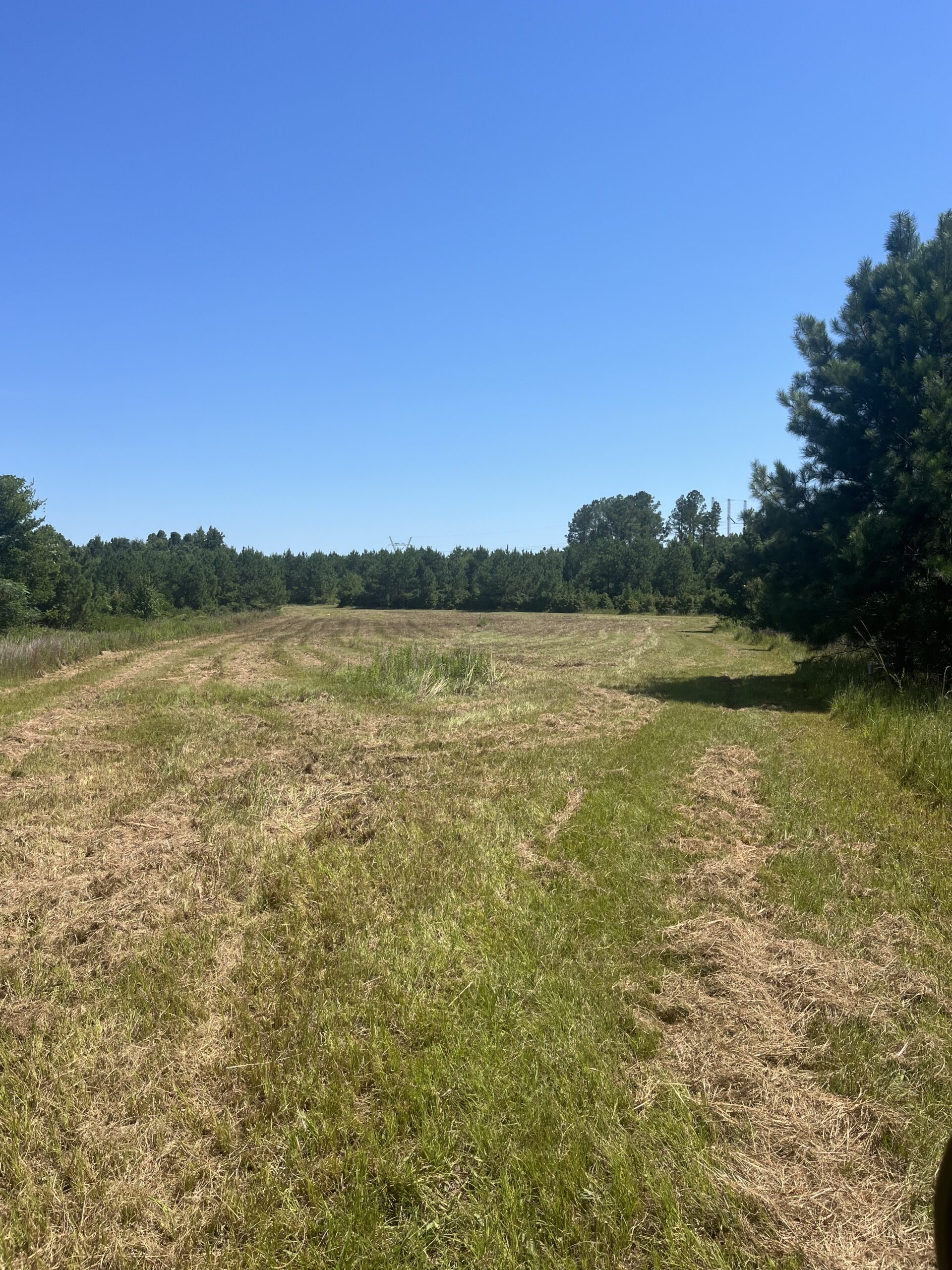 389 Acres Hunting & Timberland with Cabin in Autauga County, Alabama