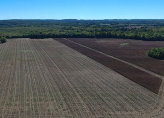 UNRESTRICTED LAND THAT HAS GREAT HUNTING THAT HAS BEEN USED AS FARM LAND
