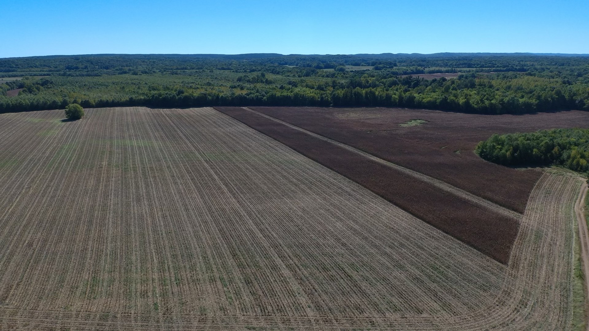 UNRESTRICTED LAND THAT HAS GREAT HUNTING THAT HAS BEEN USED AS FARM LAND