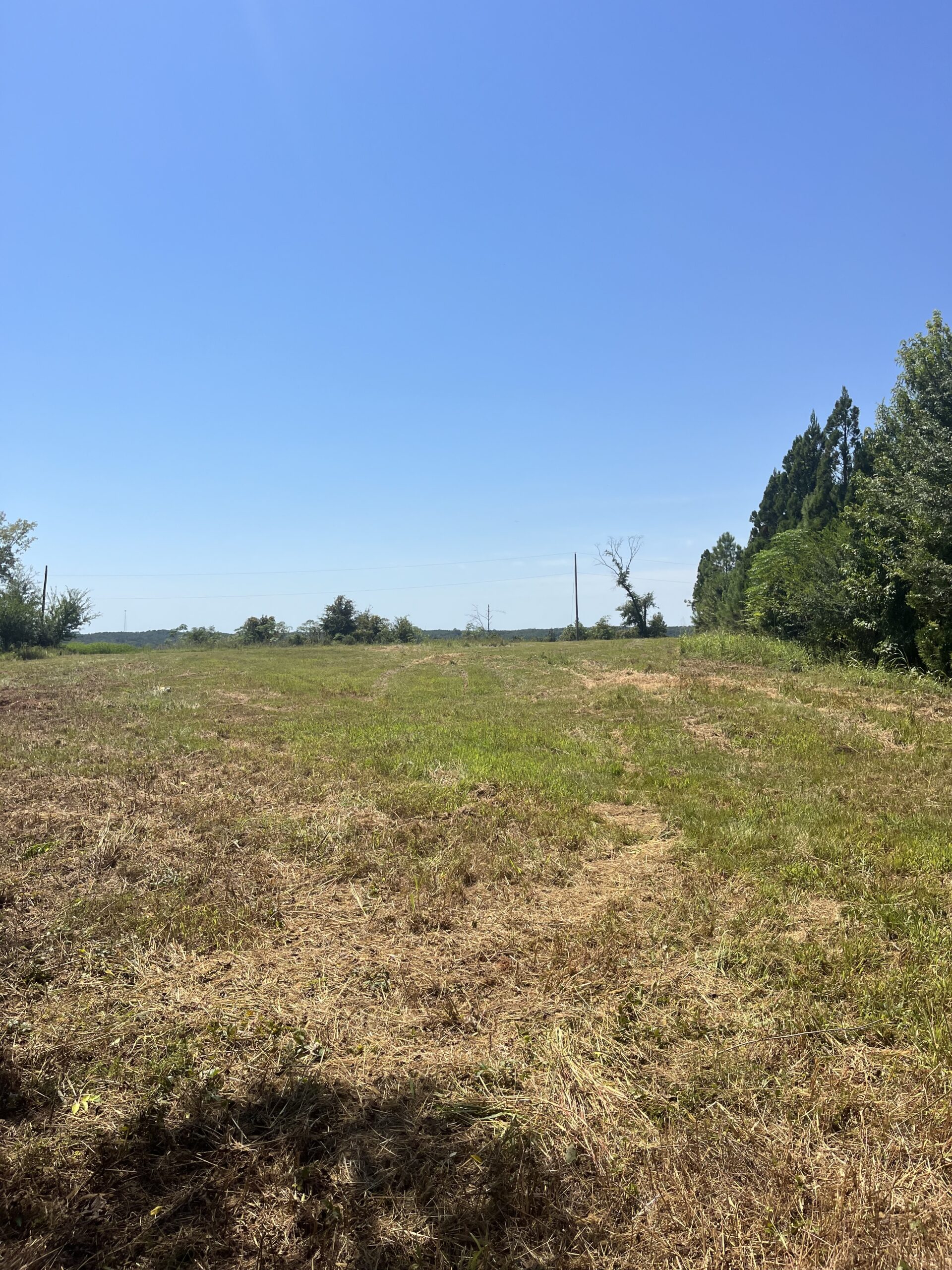 389 Acres Hunting & Timberland with Cabin in Autauga County, Alabama