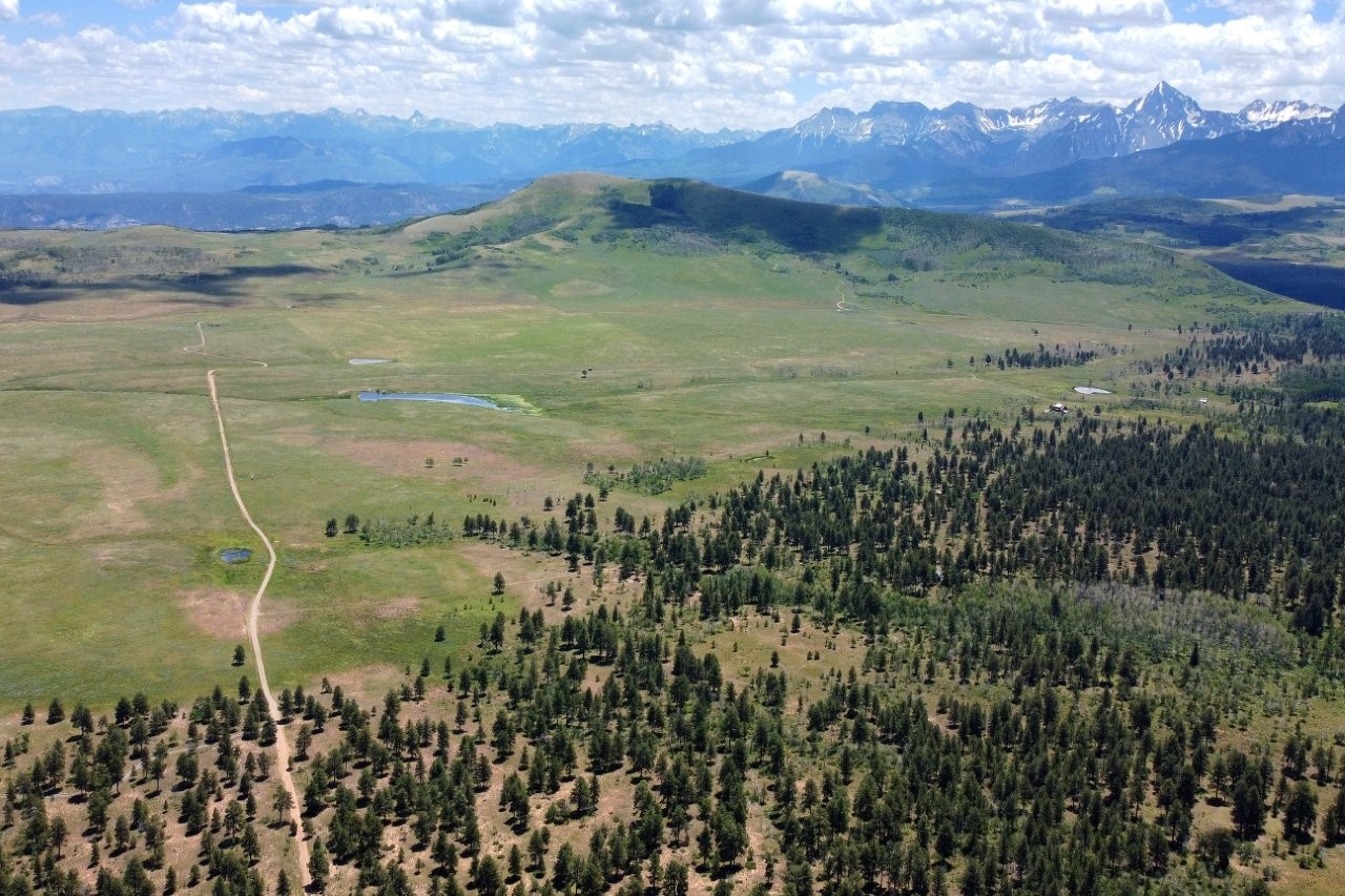 161 Acres San Juan Mountain Land for Sale in Placerville, CO