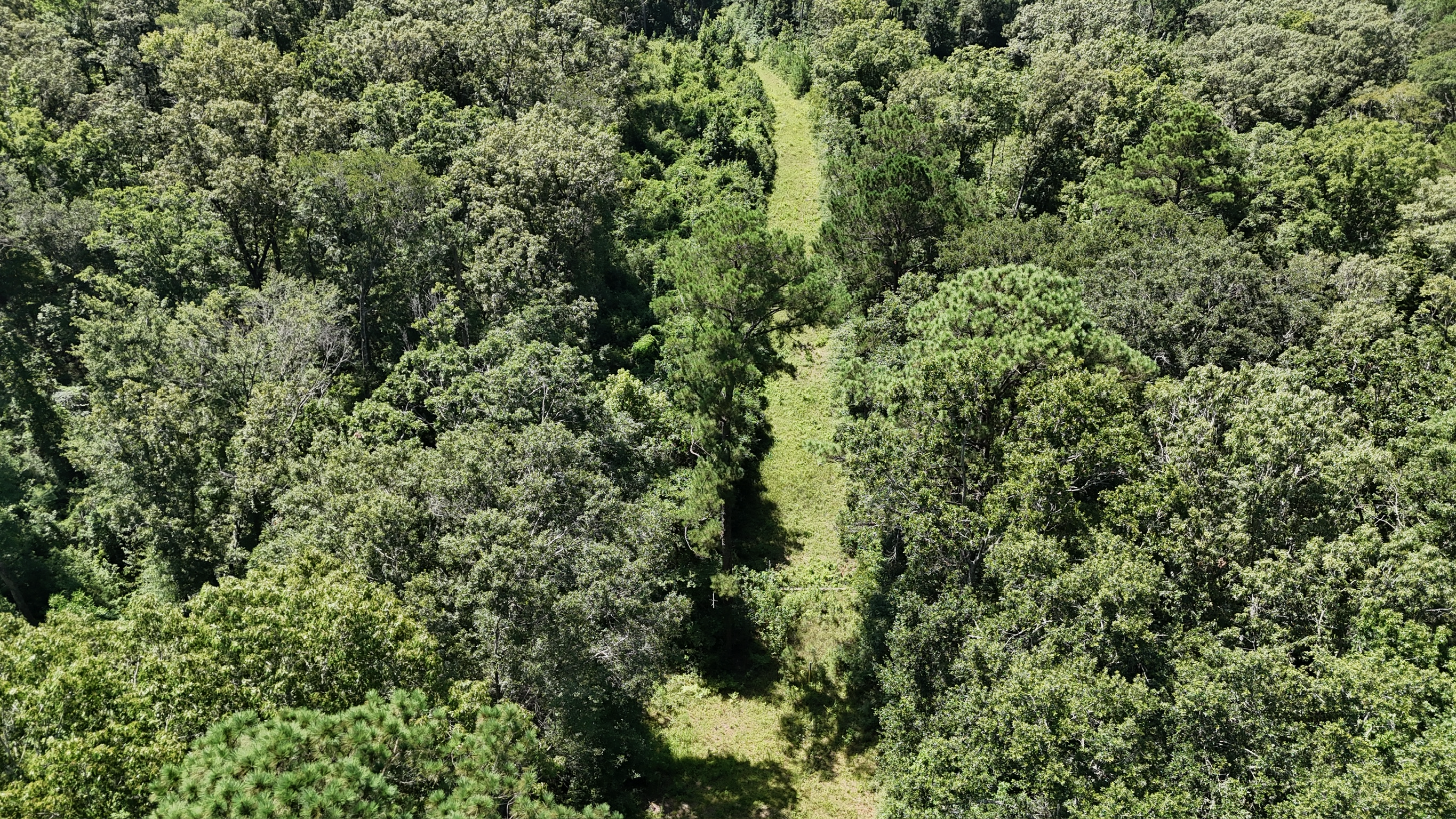 Hunting Property and Homesite in Jackson Parish LA