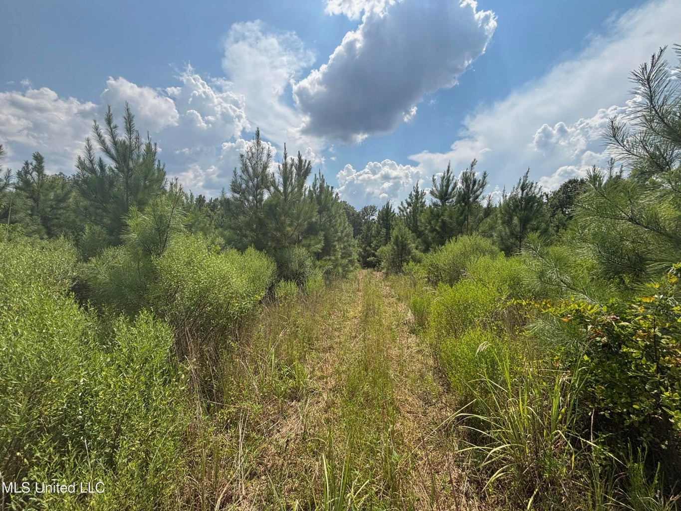88 Acres for Sale in Hinds County Jackson, MS