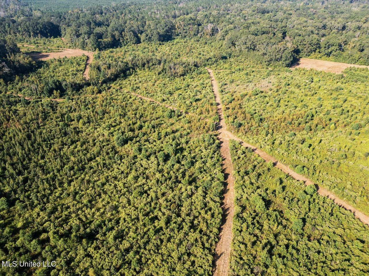 Cotton Creek 169 Acres for Sale in Amite County, MS
