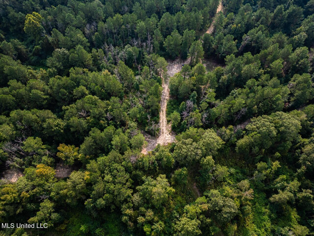 Ramsey Creek 67 Acres for Sale in Centreville, MS