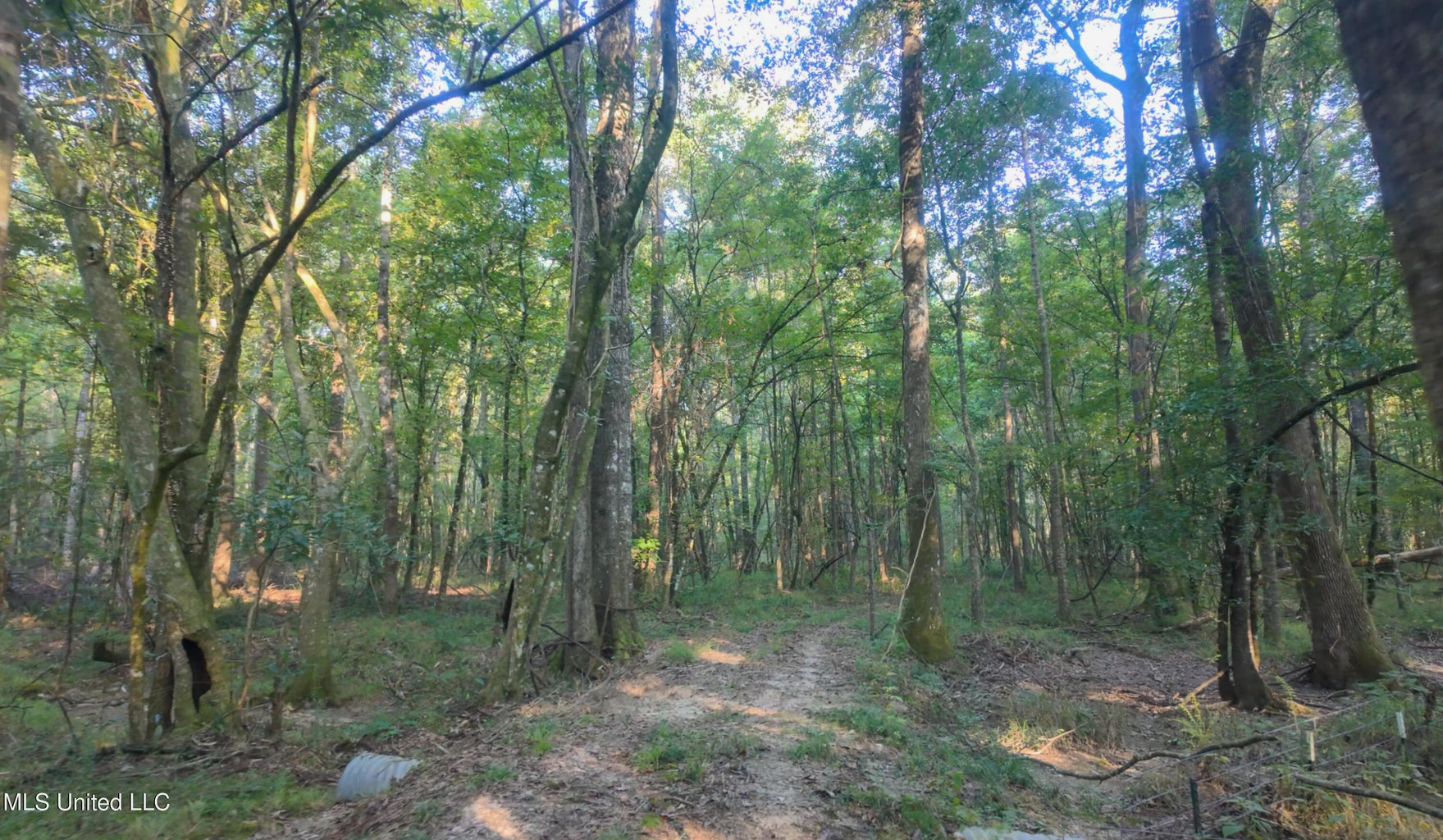 30 Acre Amite River Hunting Tract Amite County MS