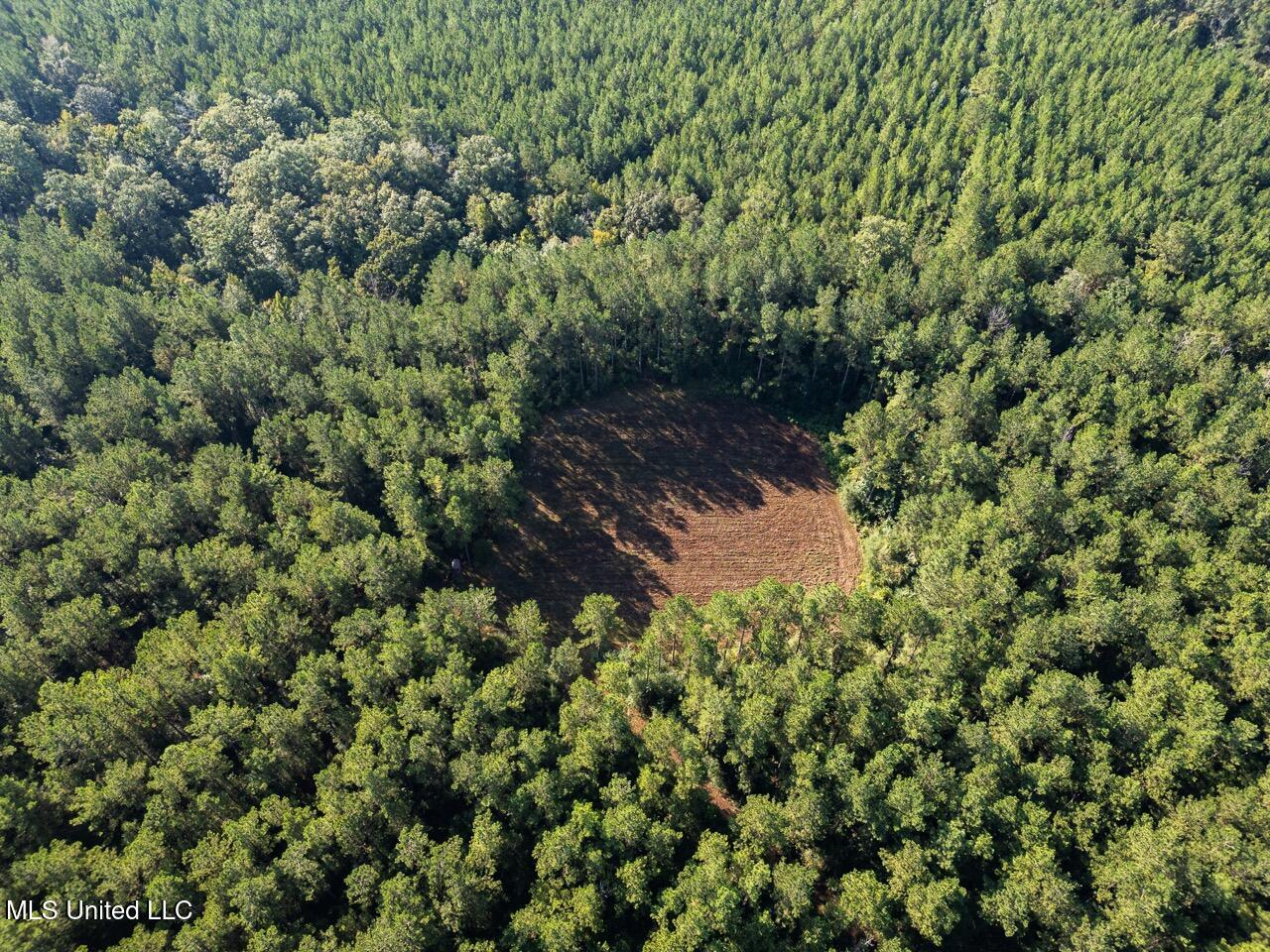 113 Acres Hunting Land with Home in Amite County, MS