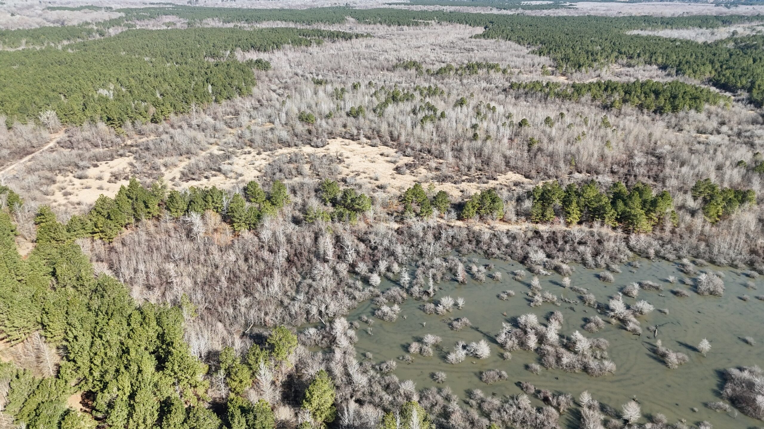 Duck, Deer, and Fishing Land for Sale on Little River