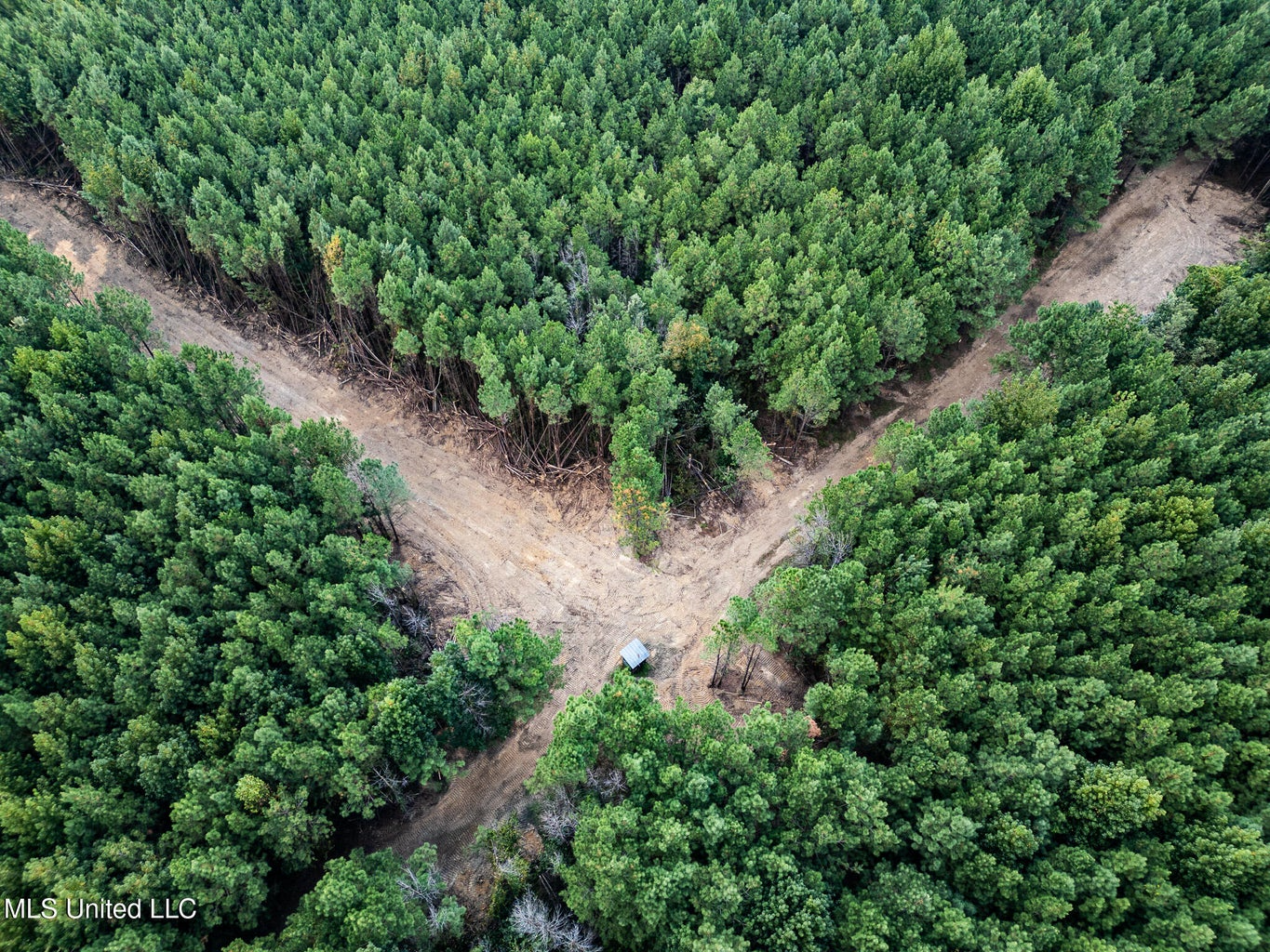 302 Acres in Hermanville, Claiborne County, MS Land