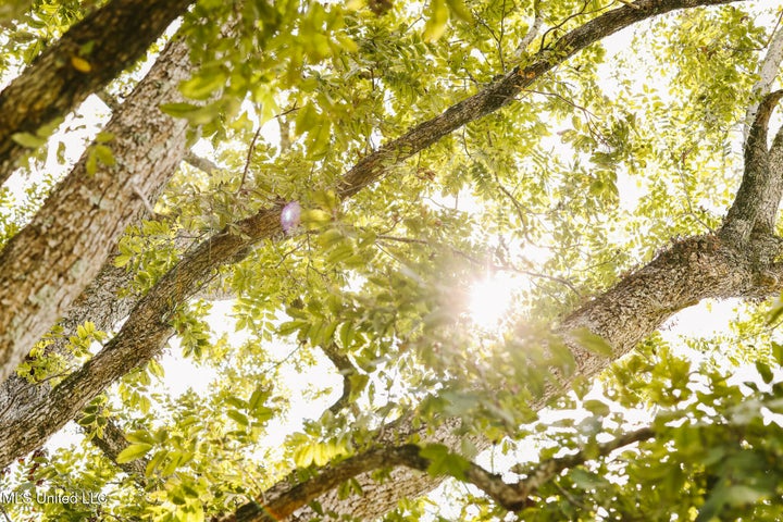 Land for Sale in Lincoln County, MS