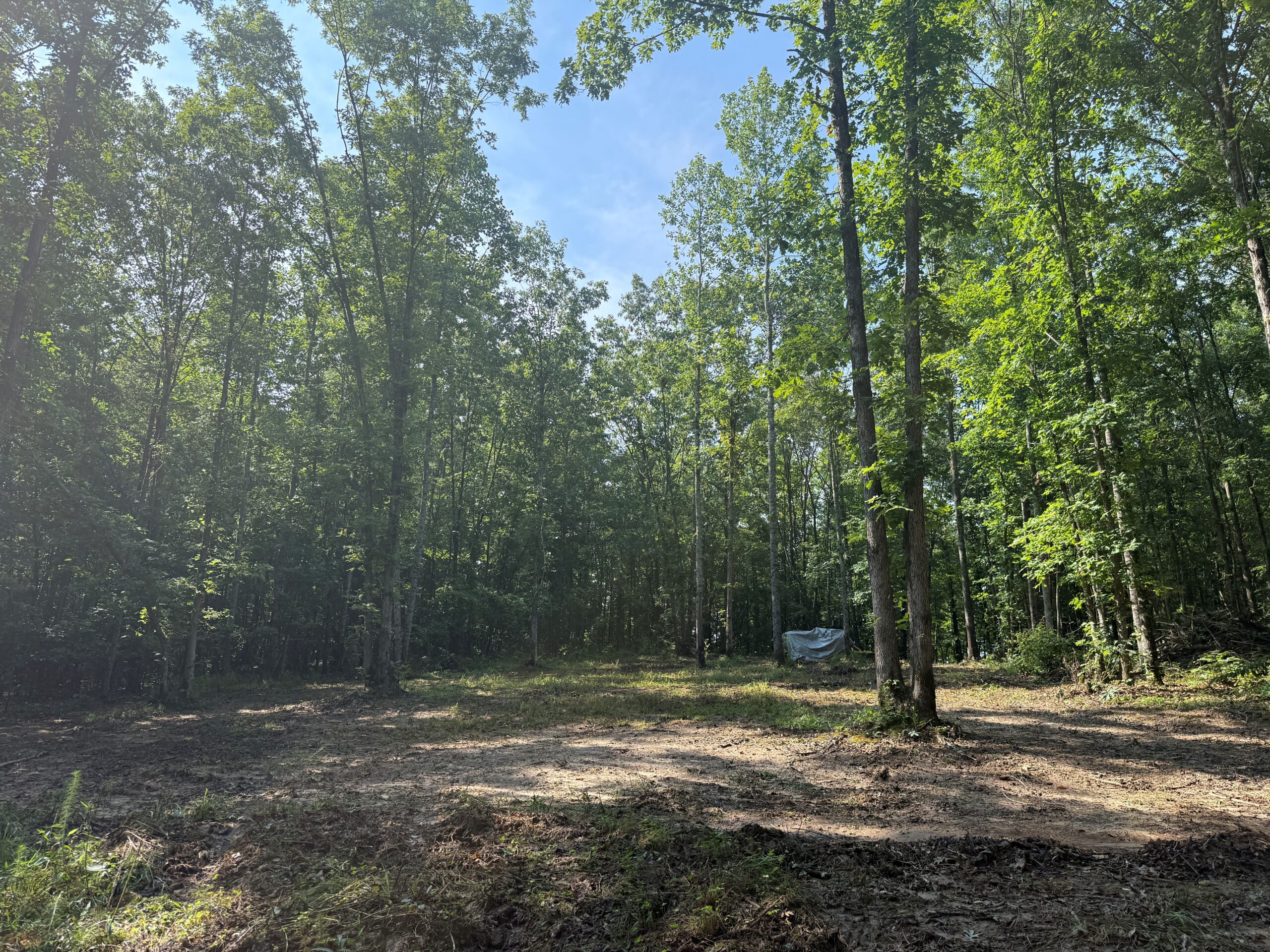 UNRESTRICTED PRIVATE LAND FOR SALE WITH DEER & TURKEY HUNTING