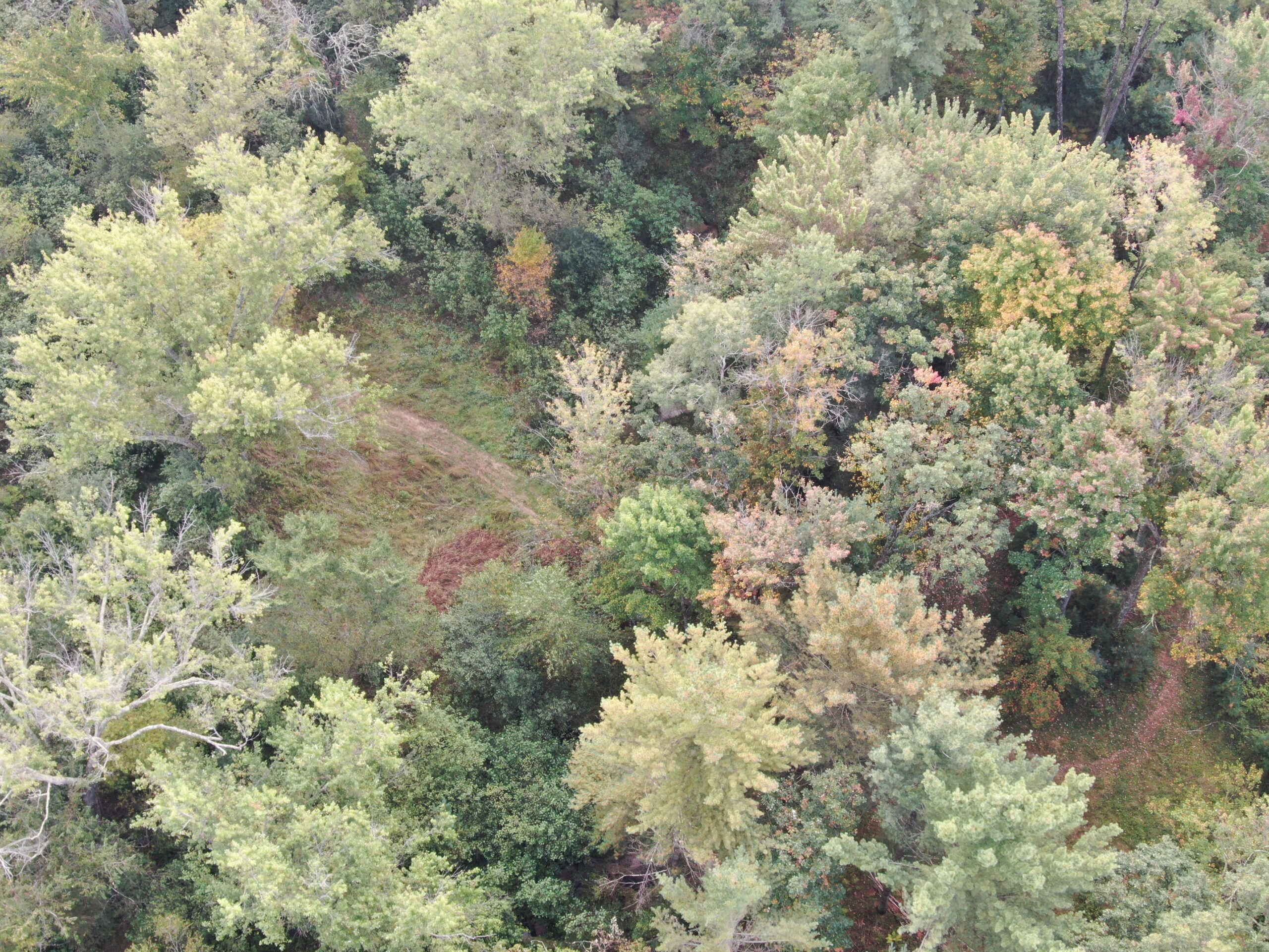 40 acres just north of Wisconsin Dells with abundant deer & turkey habitat