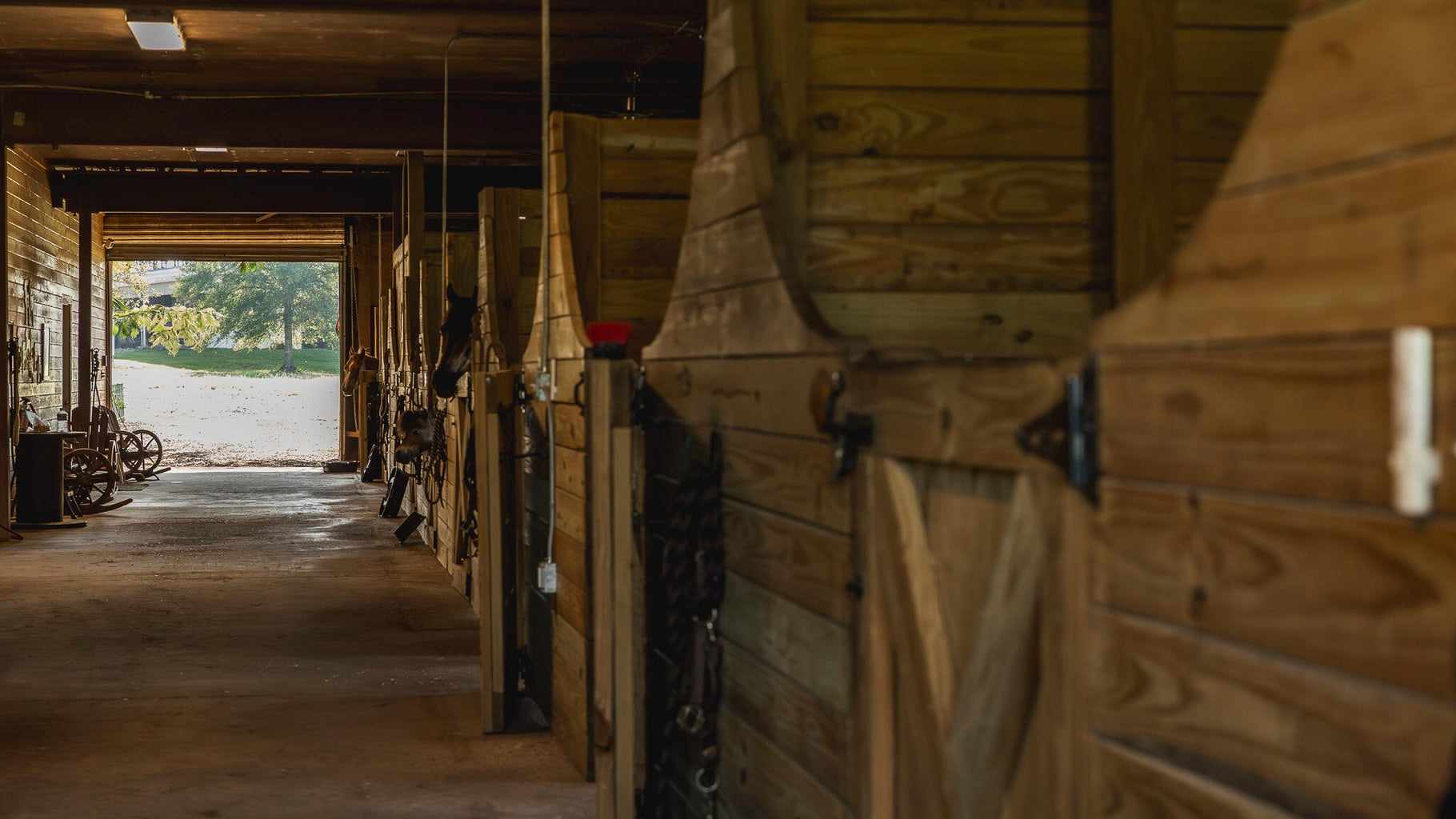 Golden Pines Ranch 235 Recreational Acres in Stone County MS