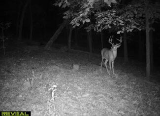 Legacy Northwest Arkansas Acreage For Sale