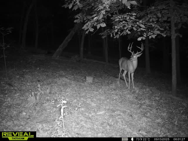 Legacy Northwest Arkansas Acreage For Sale
