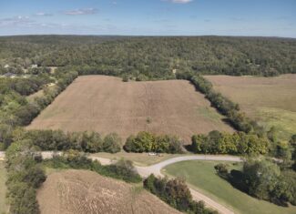 29.5 Acres of Land for Sale with Year Round Creek
