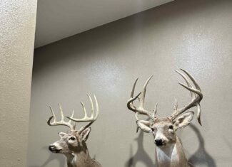 78 Acres of Farm, Hunting and Recreational Land