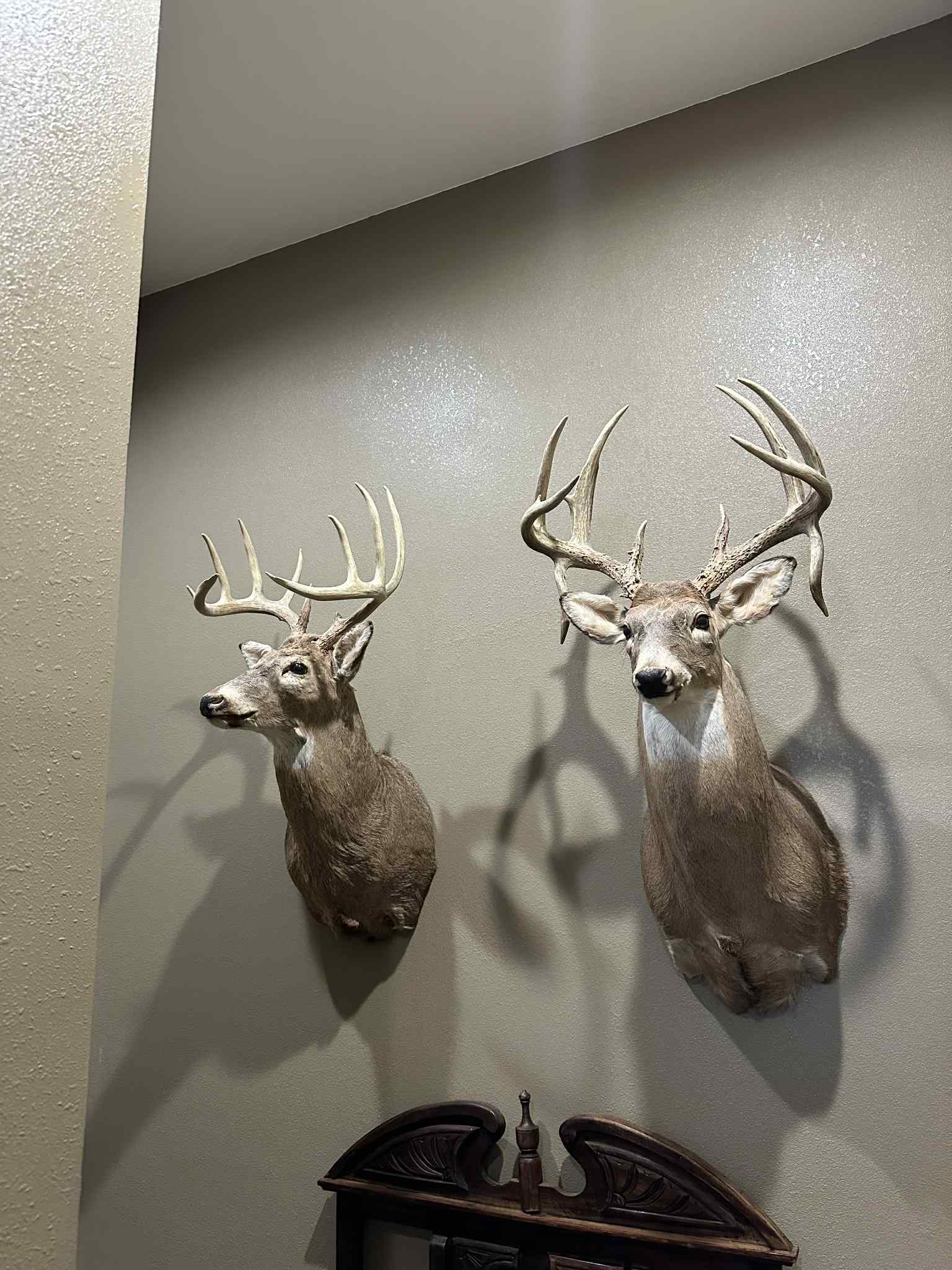 78 Acres of Farm, Hunting and Recreational Land