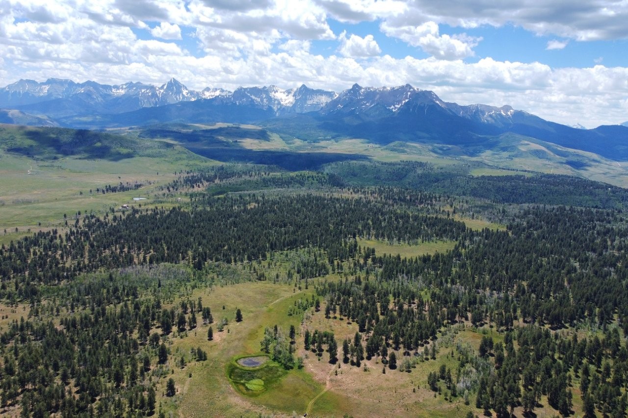 161 Acres San Juan Mountain Land for Sale in Placerville, CO