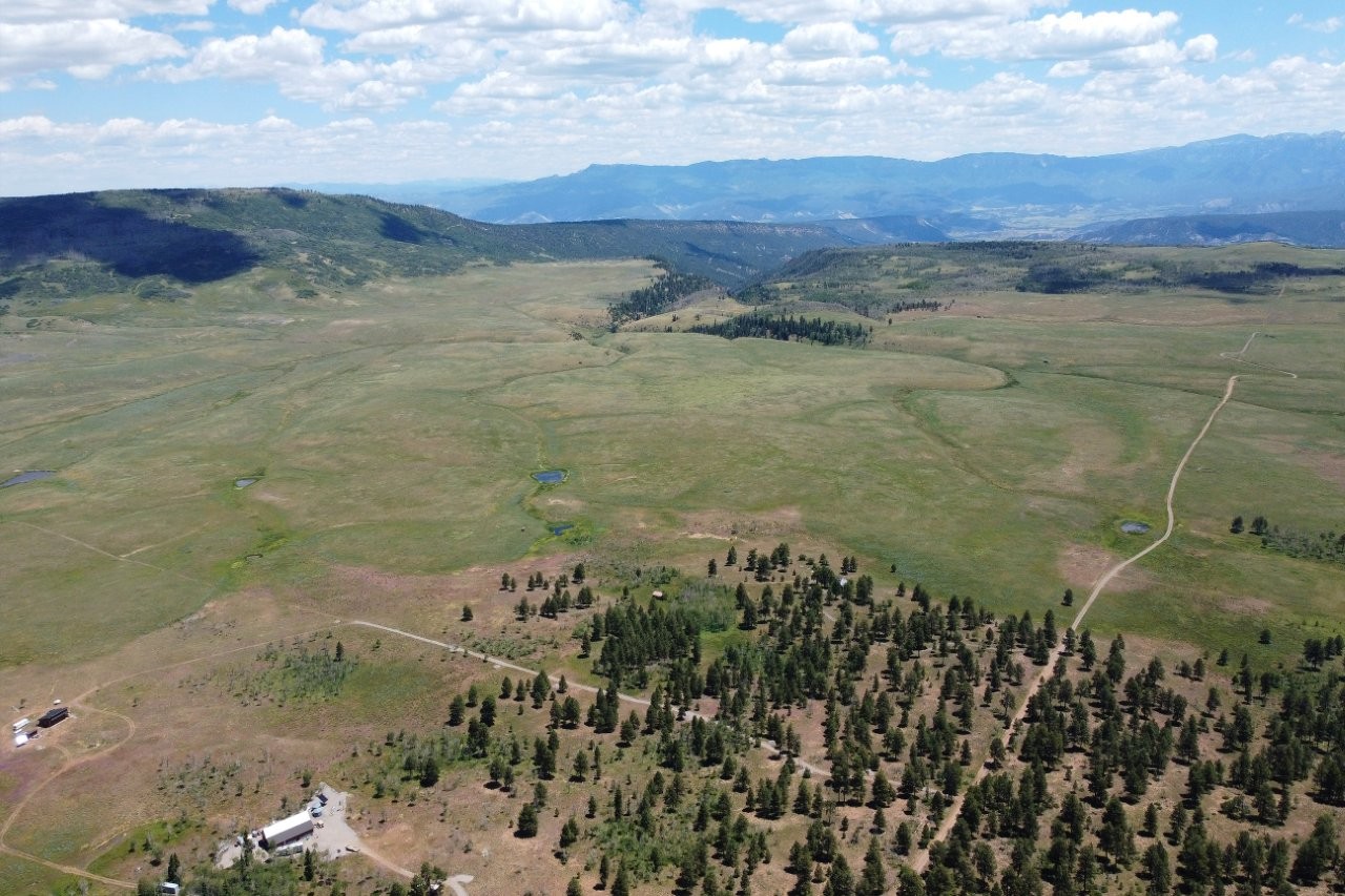 161 Acres San Juan Mountain Land for Sale in Placerville, CO