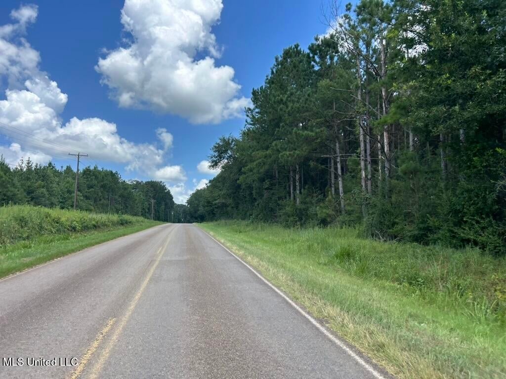 14+- Acre Homesite and Hunting Land for Sale Summit MS
