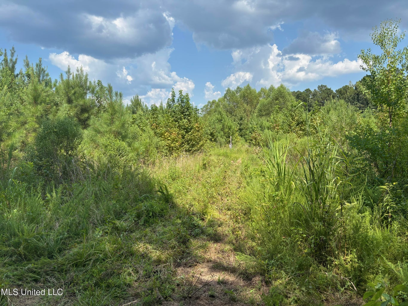 88 Acres for Sale in Hinds County Jackson, MS