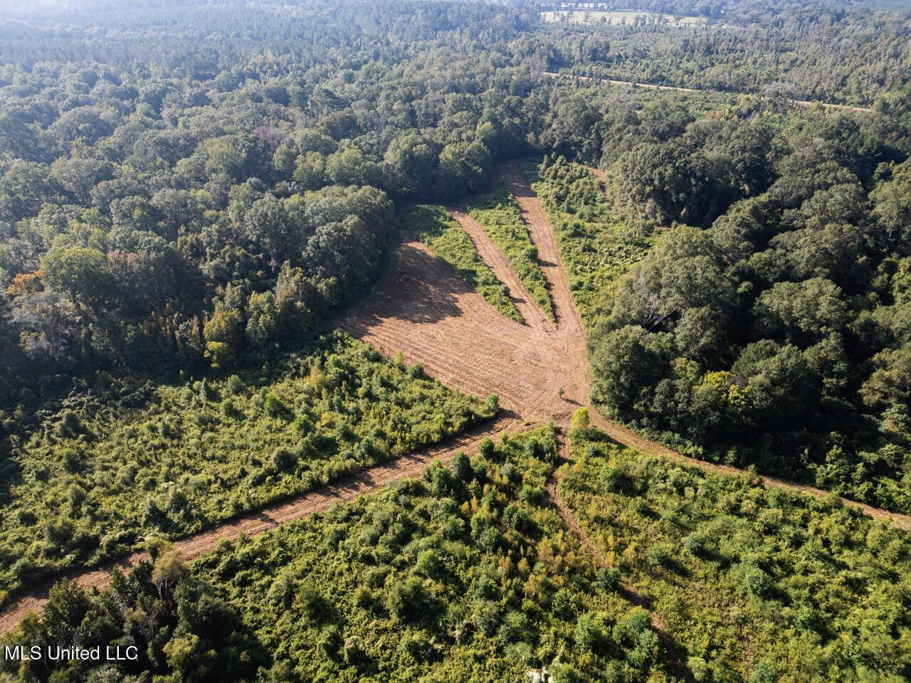 Cotton Creek 169 Acres for Sale in Amite County, MS