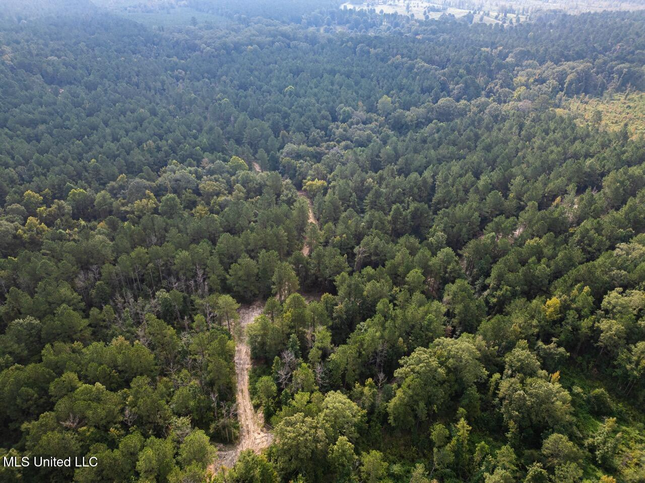 Ramsey Creek 67 Acres for Sale in Centreville, MS