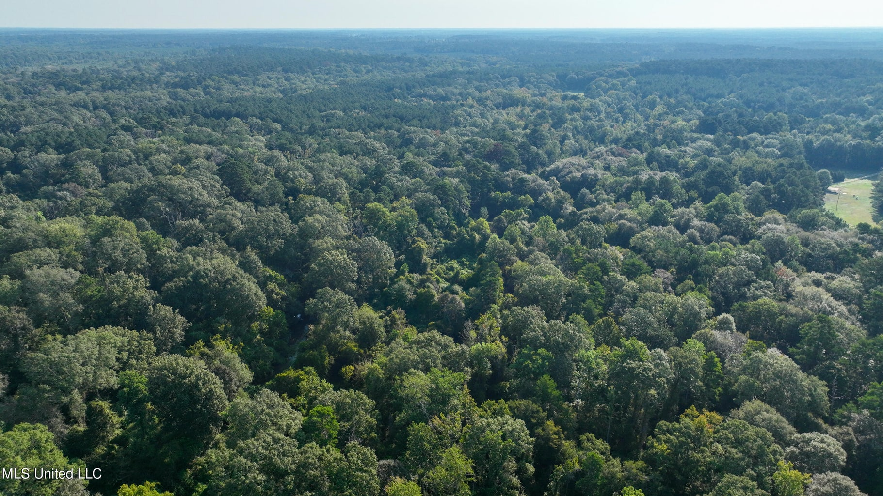 30 Acre Amite River Hunting Tract Amite County MS