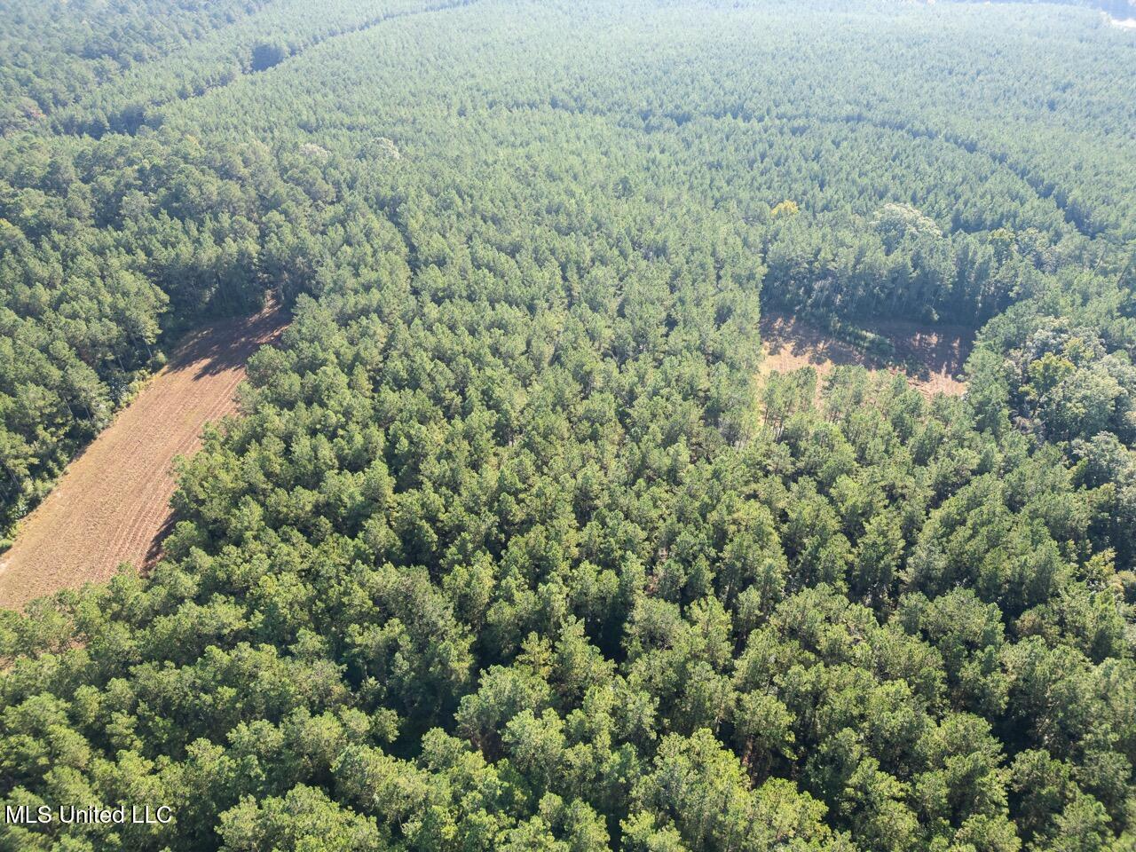 113 Acres Hunting Land with Home in Amite County, MS