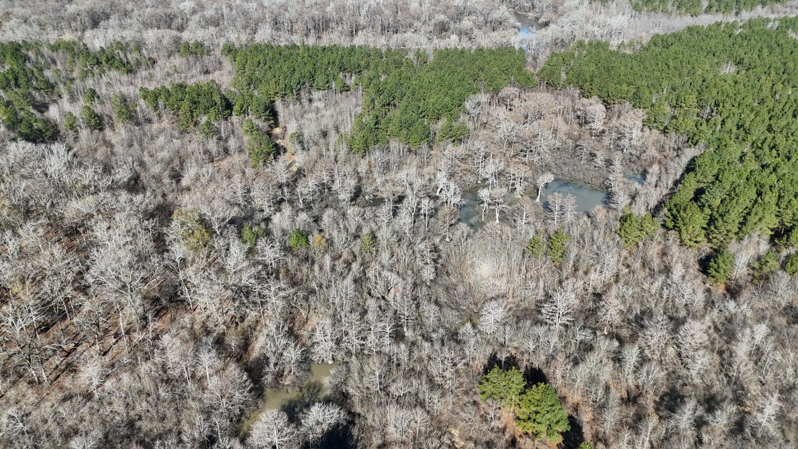 Duck, Deer, and Fishing Land for Sale on Little River