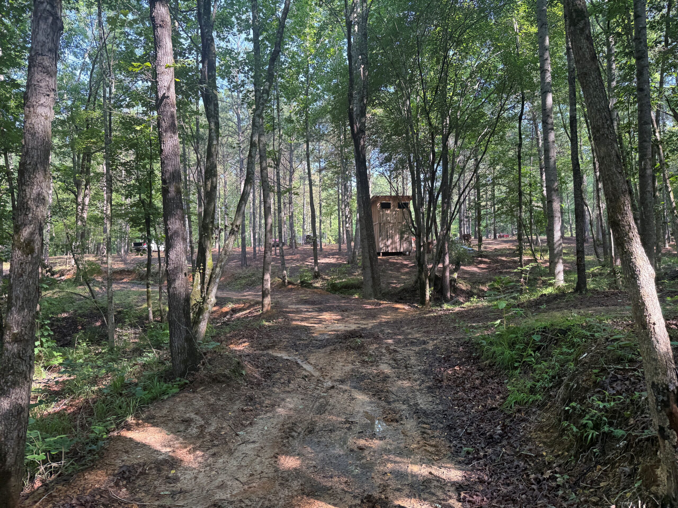 UNRESTRICTED PRIVATE LAND FOR SALE WITH DEER & TURKEY HUNTING