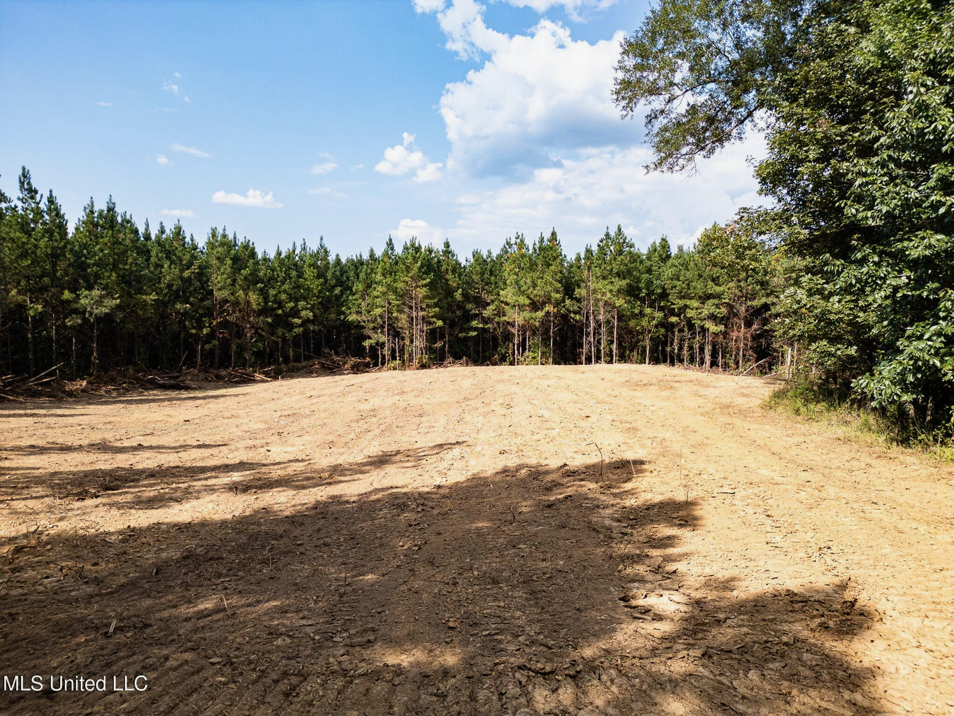 302 Acres in Hermanville, Claiborne County, MS Land