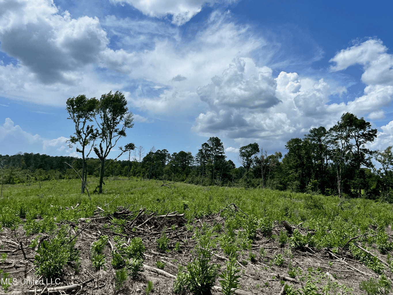 Land for Sale in Amite County, MS