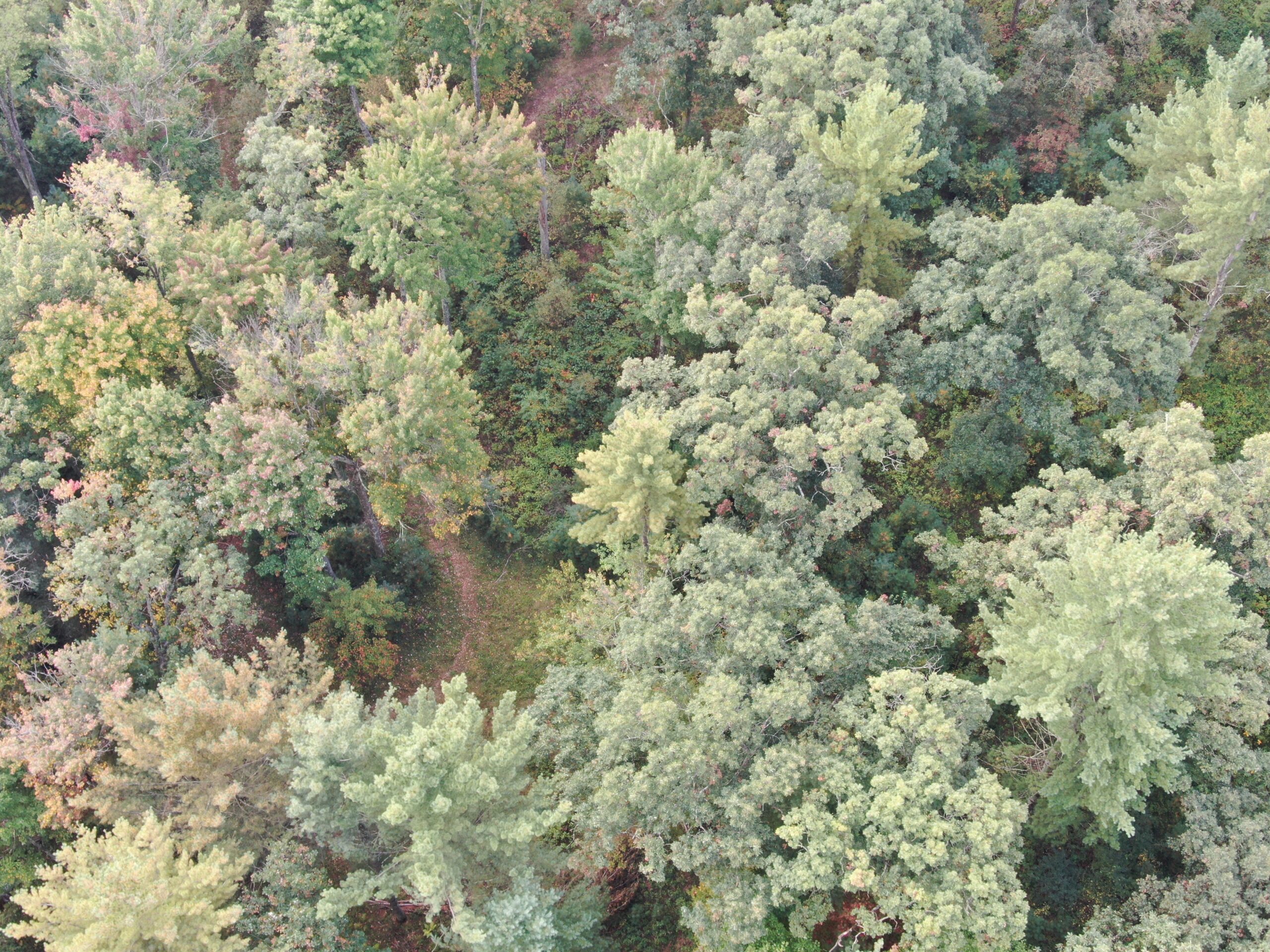40 acres just north of Wisconsin Dells with abundant deer & turkey habitat