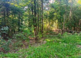 9.025 Acres Timber and Hunting Land for Sale NE Lincoln Parish