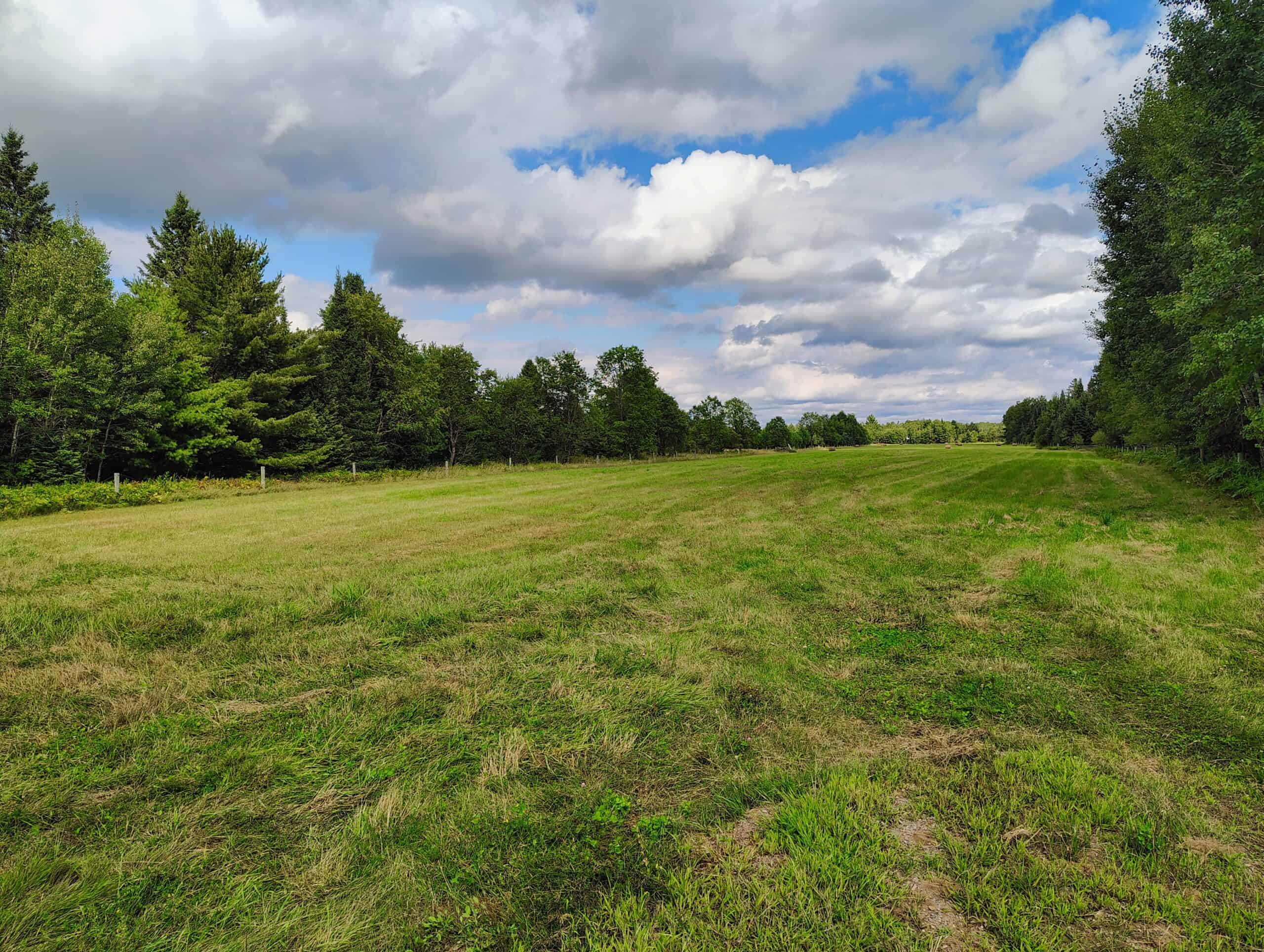 Country Home with Acreage for Sale in Glidden, WI