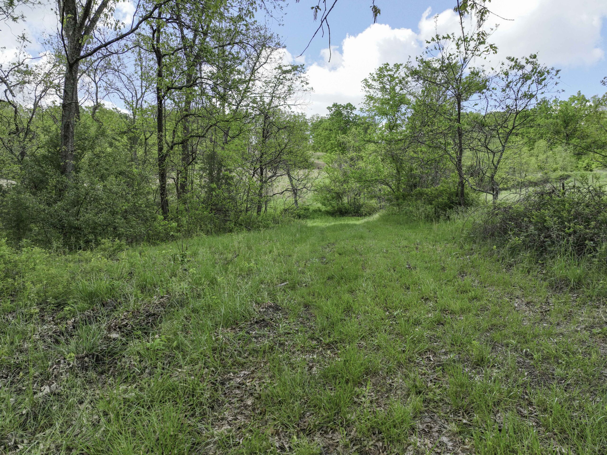 Douglas County, Missouri Hunting Land For Sale near Ava, Mo