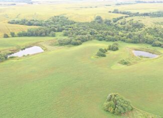 Hunter’s Paradise – 40 Acres…Row Crop, Timber, Building Potential
