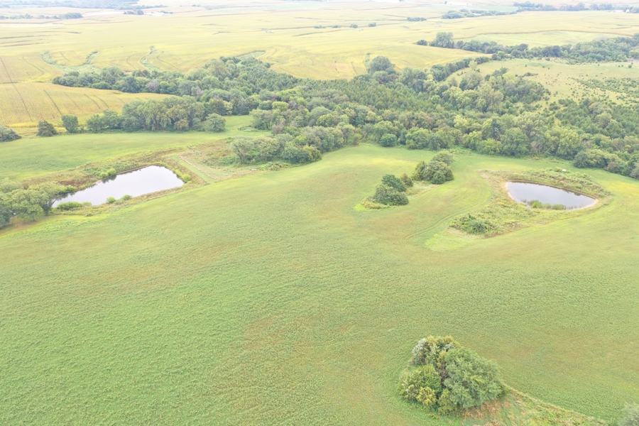 Hunter’s Paradise – 40 Acres…Row Crop, Timber, Building Potential