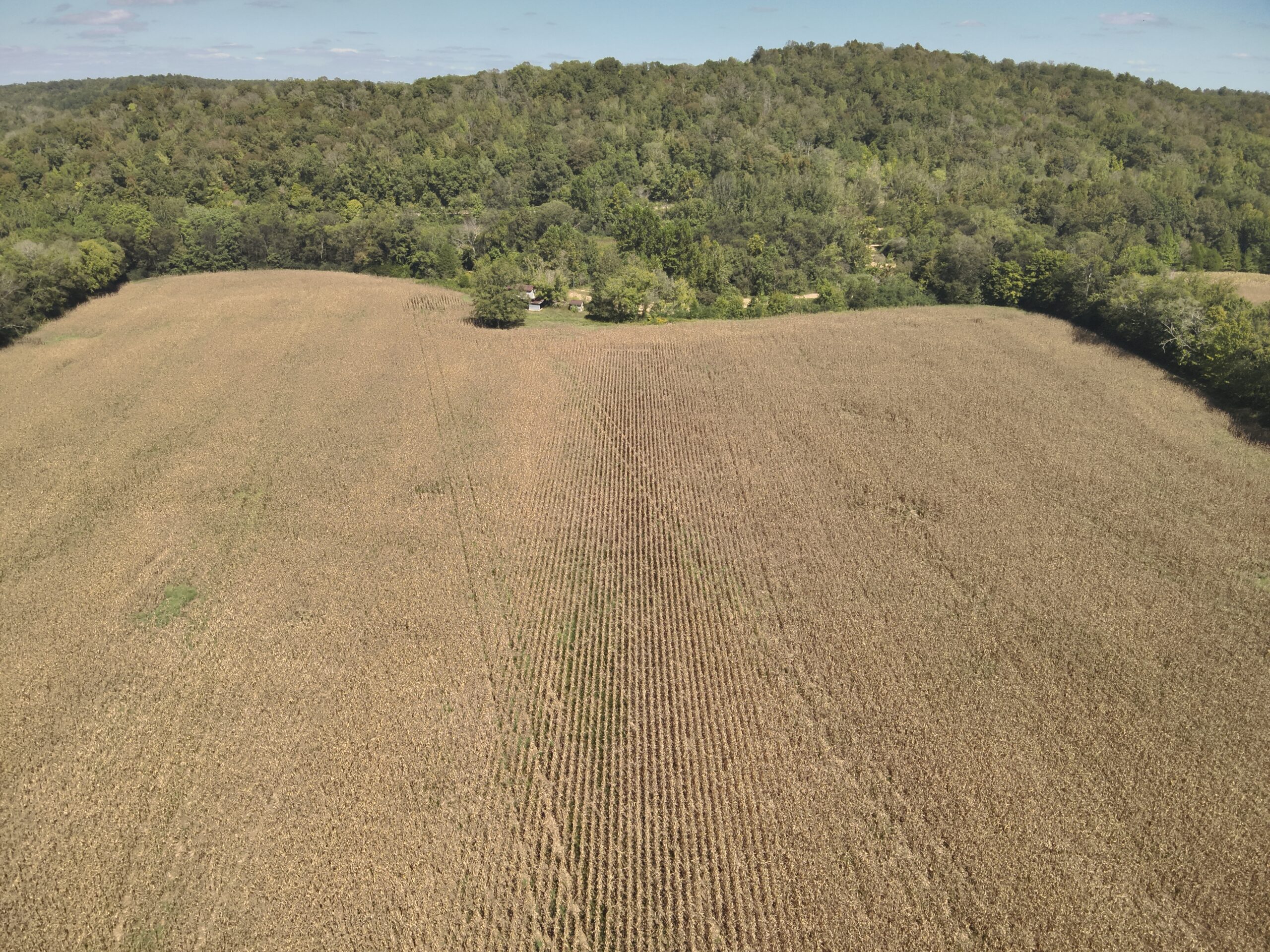 29.5 Acres of Land for Sale with Year Round Creek