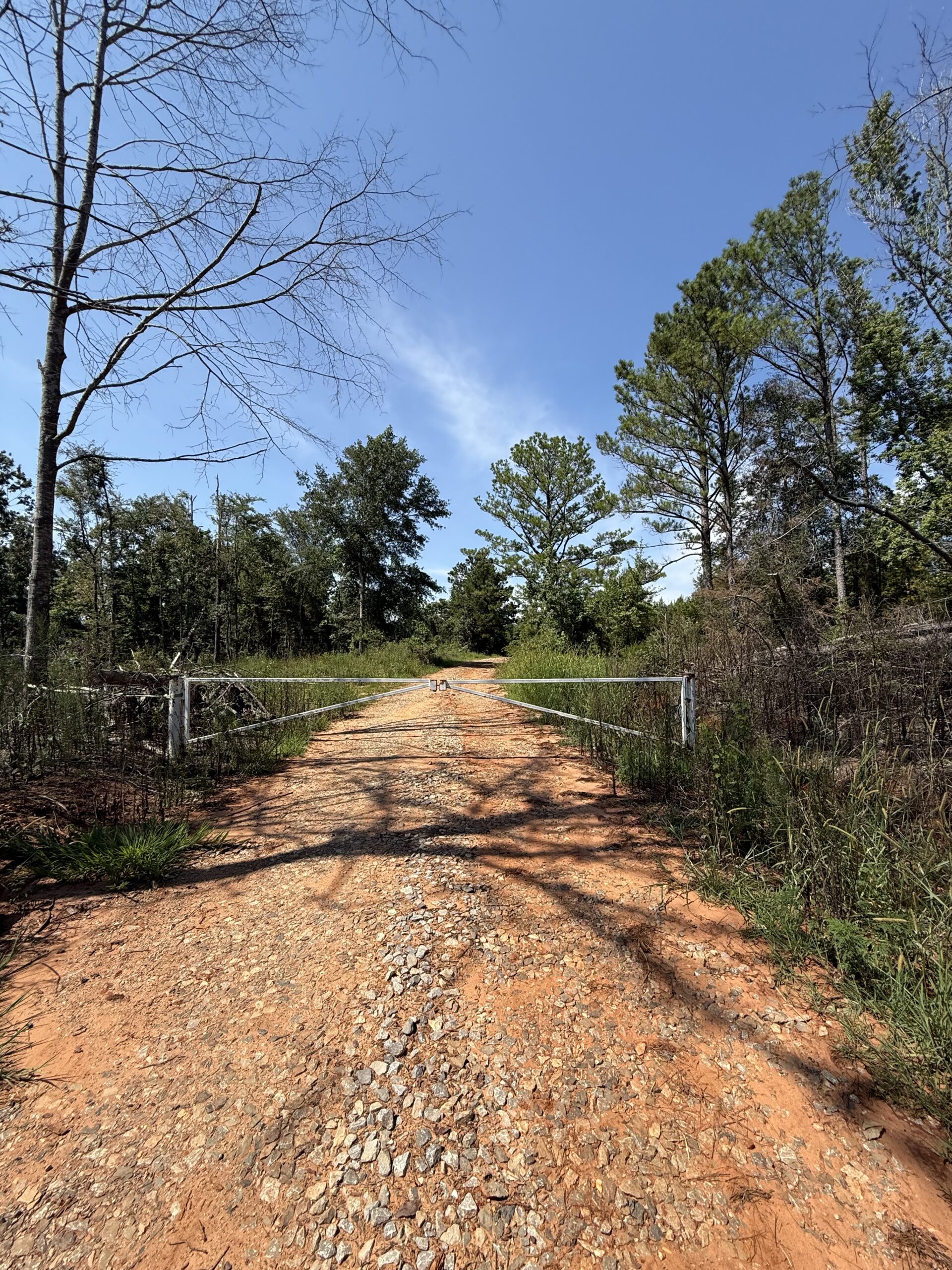 389 Acres Hunting & Timberland with Cabin in Autauga County, Alabama
