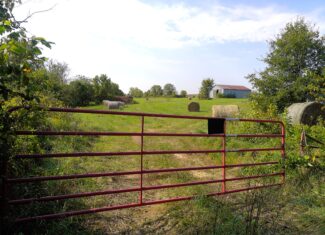 78 Acres of Farm, Hunting and Recreational Land