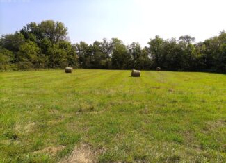 78 Acres of Farm, Hunting and Recreational Land