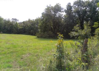 78 Acres of Farm, Hunting and Recreational Land