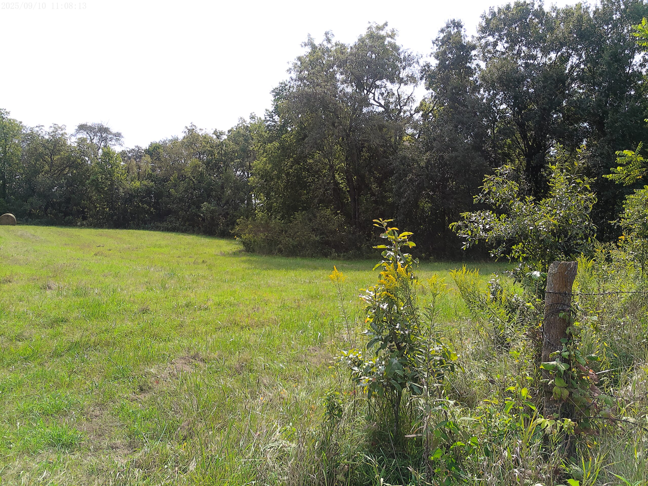 78 Acres of Farm, Hunting and Recreational Land