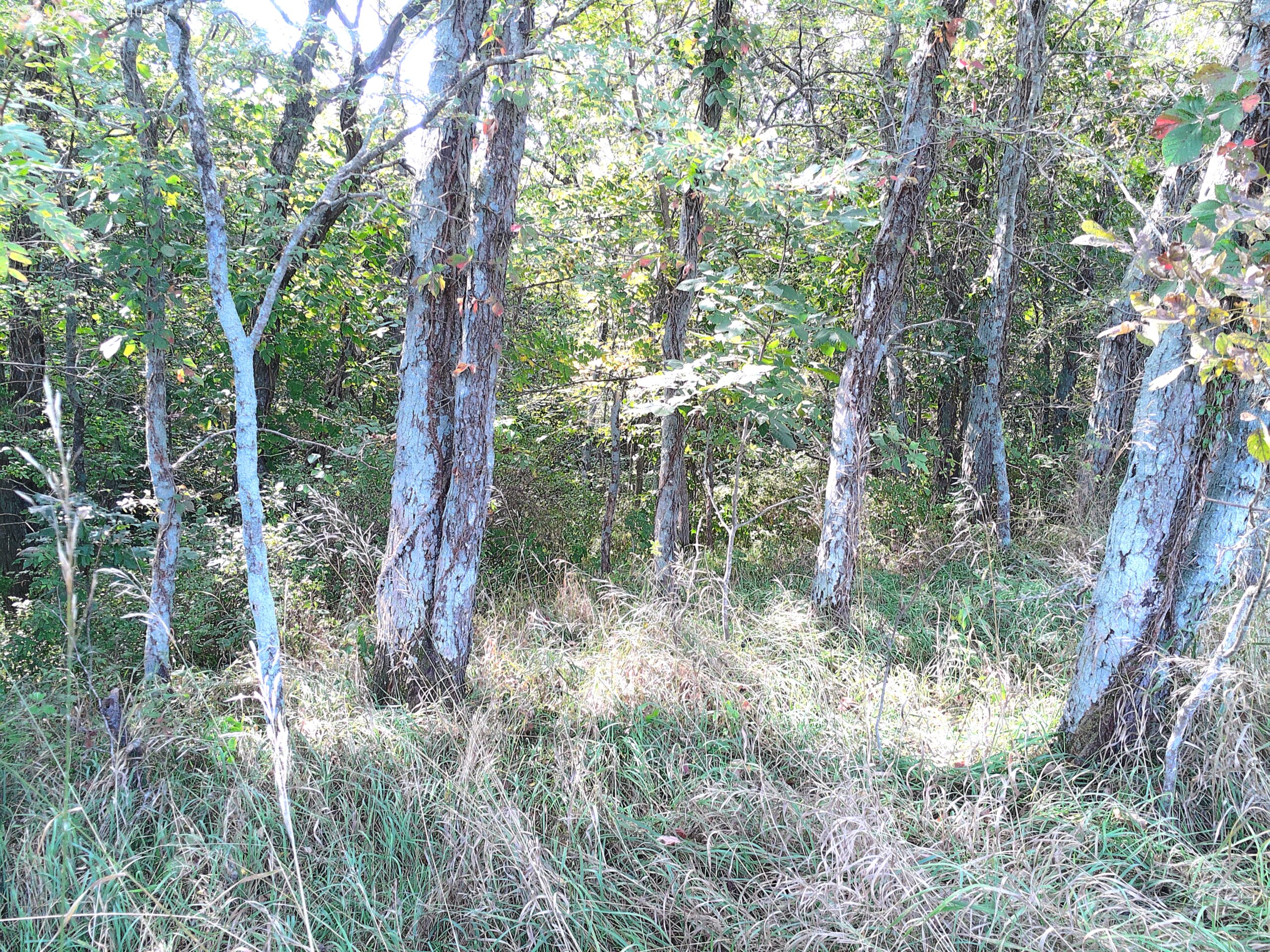 78 Acres of Farm, Hunting and Recreational Land