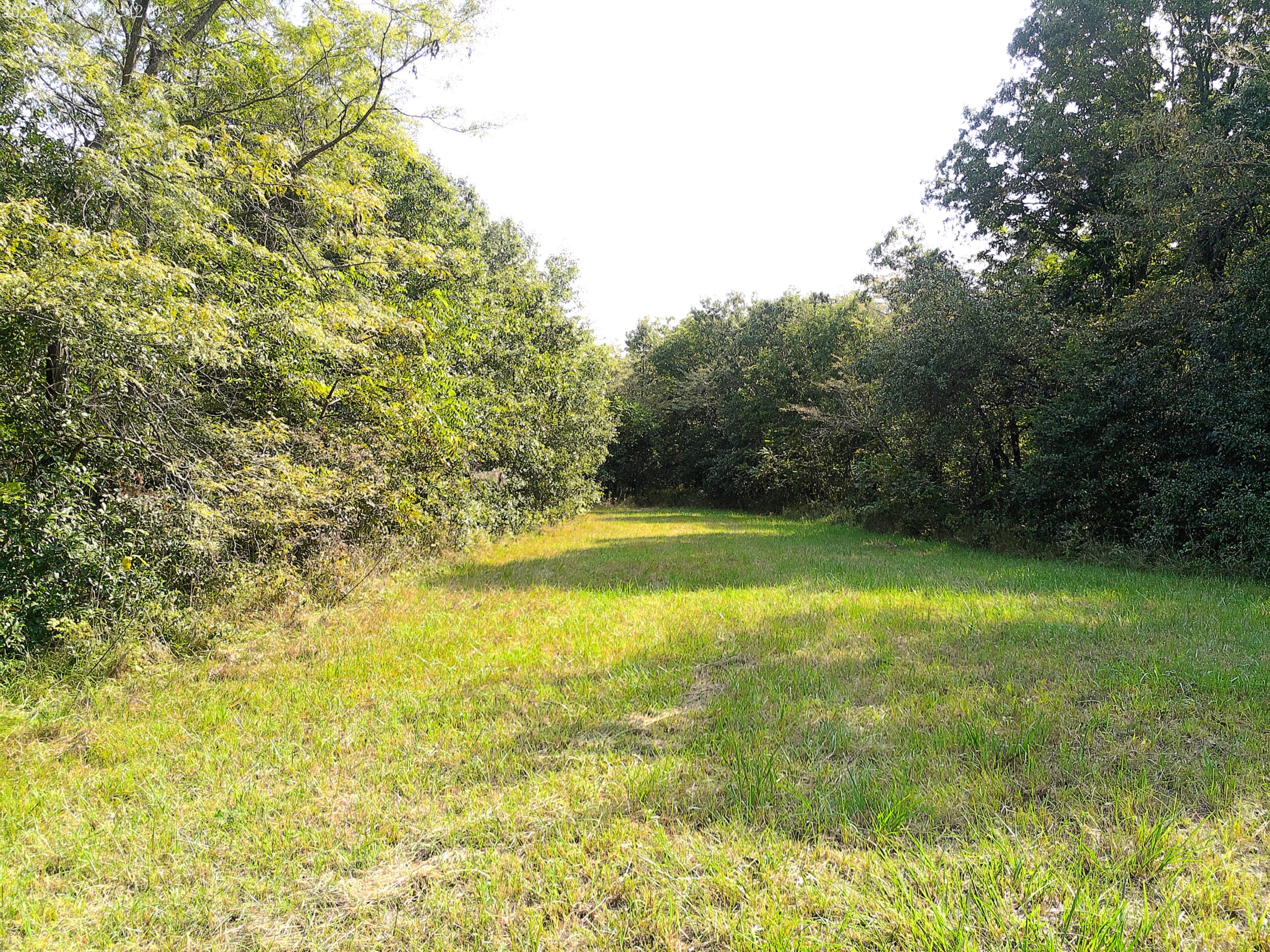 78 Acres of Farm, Hunting and Recreational Land