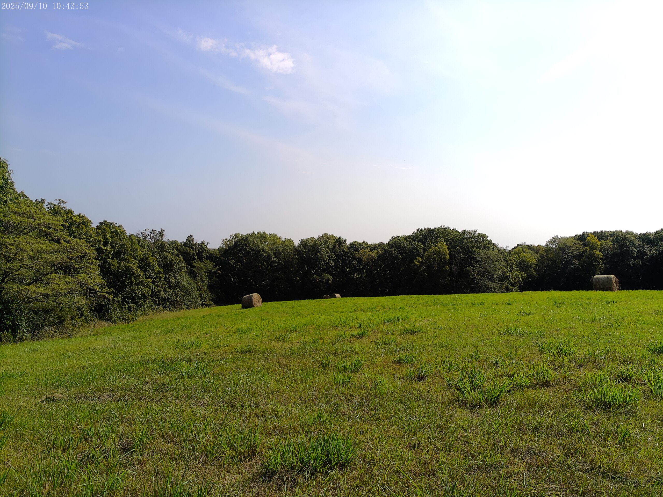 78 Acres of Farm, Hunting and Recreational Land