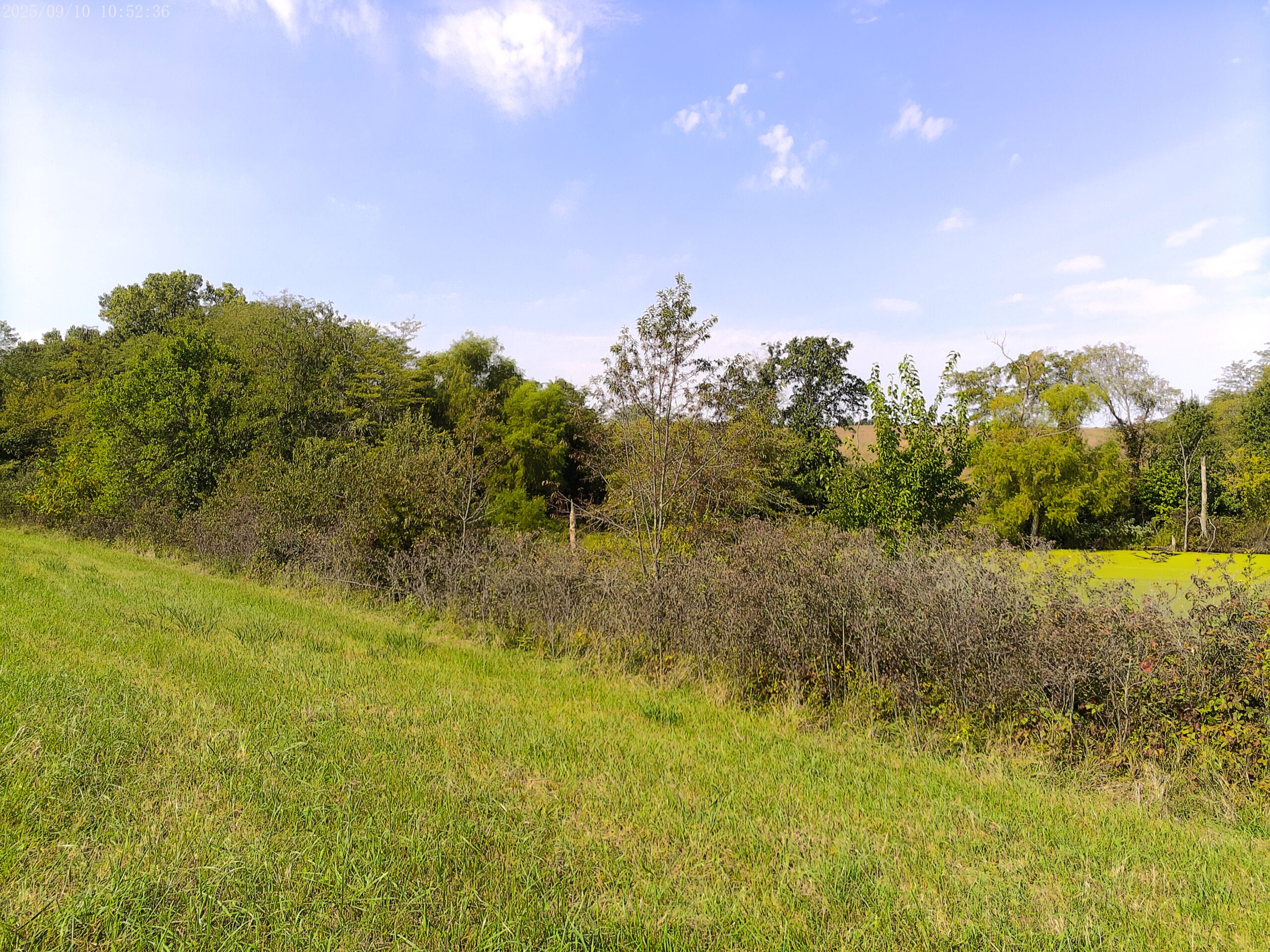78 Acres of Farm, Hunting and Recreational Land